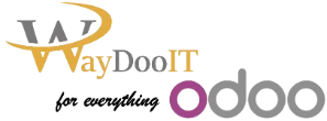 WaydooIT for everything Odoo